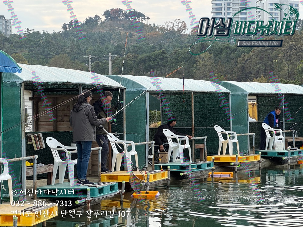 KakaoTalk_Photo_2025-11-08-15-06-56 002.jpeg