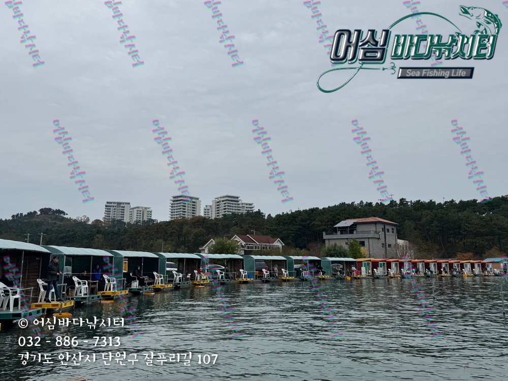 KakaoTalk_Photo_2025-11-08-15-06-58 004.jpeg