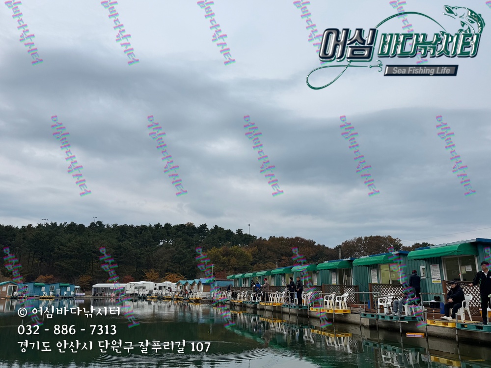 KakaoTalk_Photo_2025-11-08-15-07-01 009.jpeg