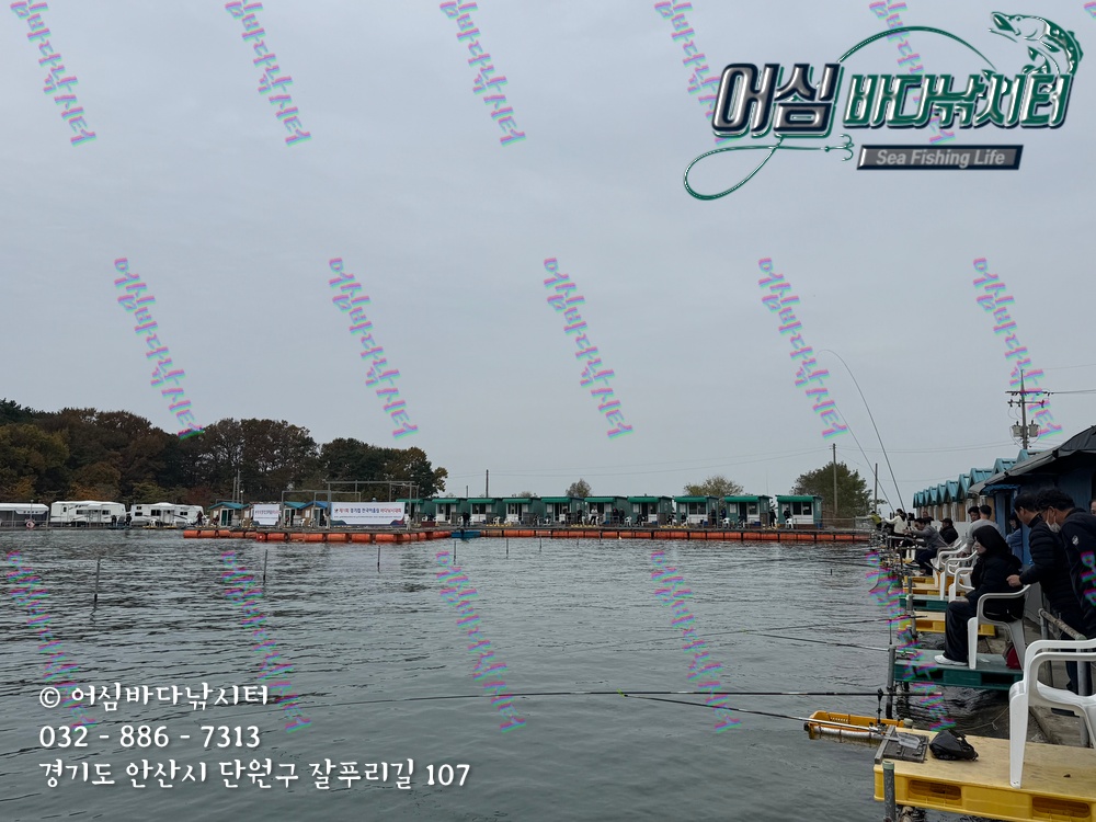 KakaoTalk_Photo_2025-11-08-15-06-57 003.jpeg