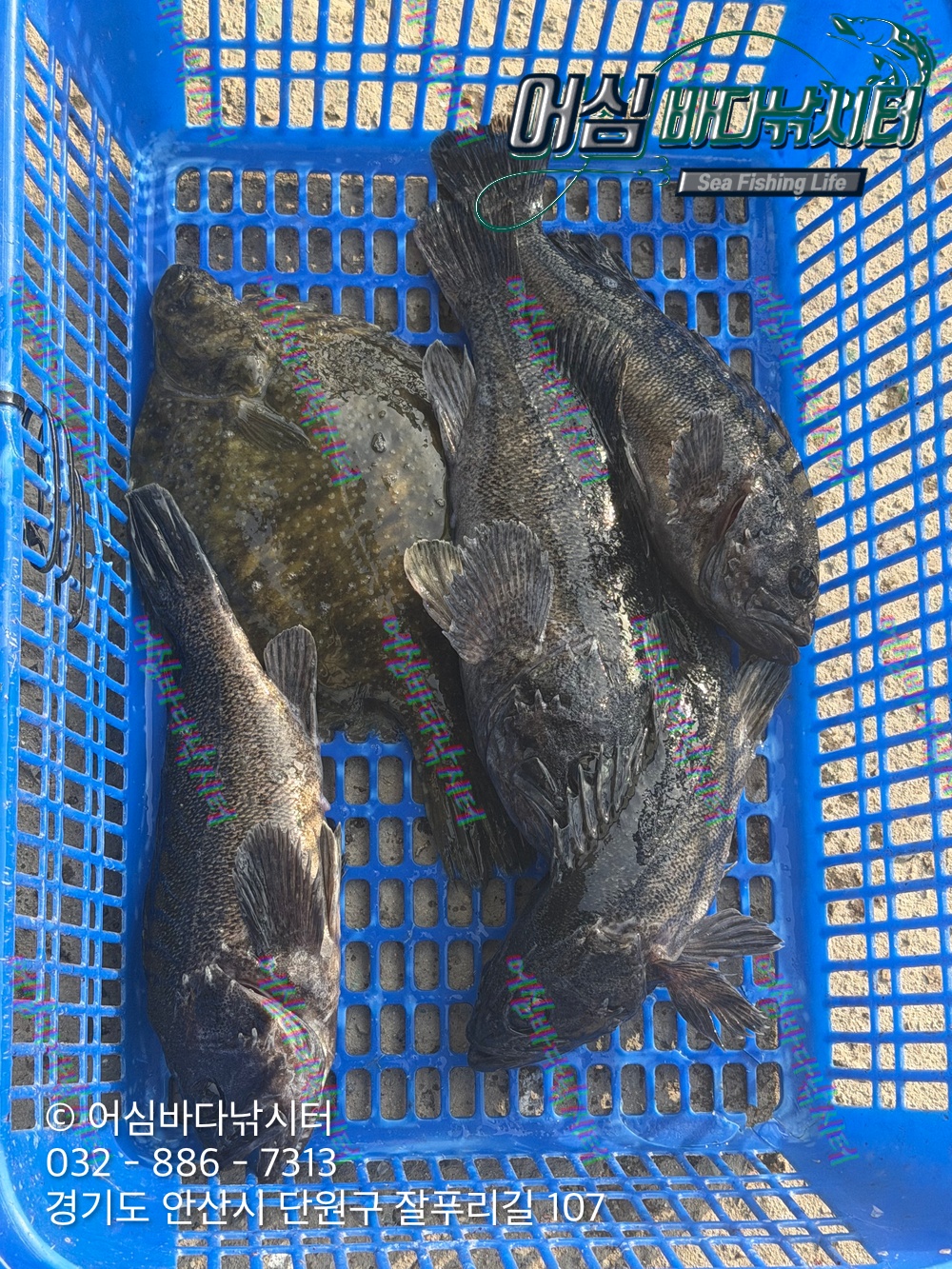 KakaoTalk_Photo_2026-03-17-12-00-20 001.jpeg