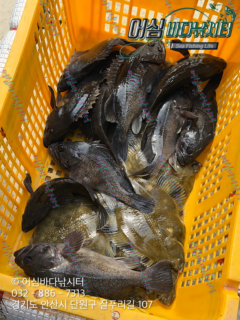 KakaoTalk_Photo_2026-03-17-12-04-22 002.jpeg