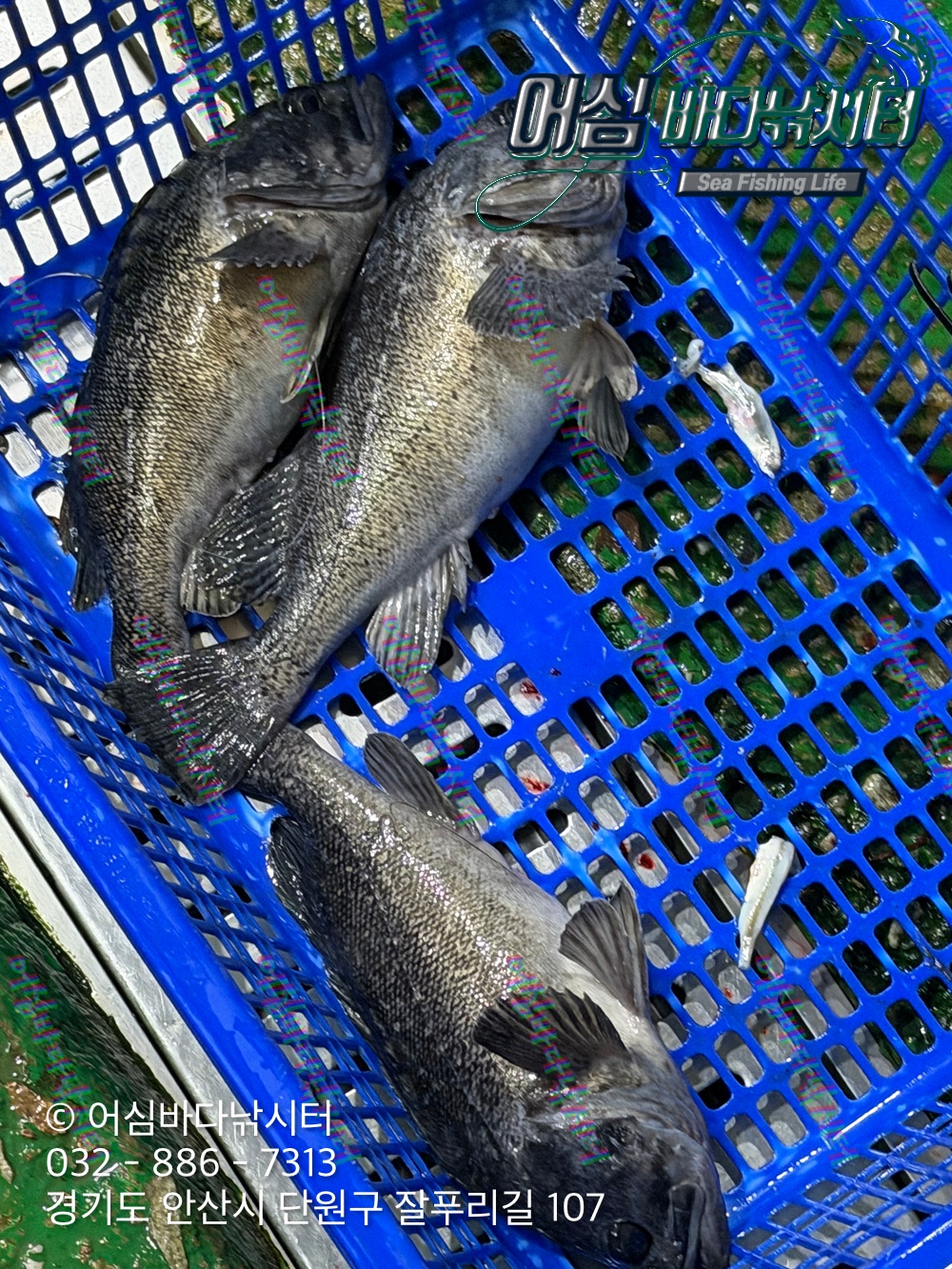 KakaoTalk_Photo_2026-03-17-12-03-00 003.jpeg