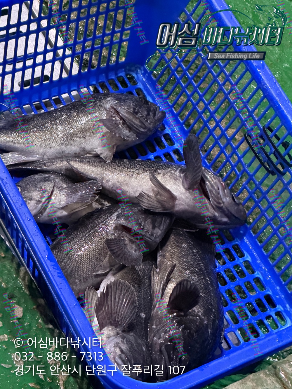 KakaoTalk_Photo_2026-03-17-12-02-59 002.jpeg