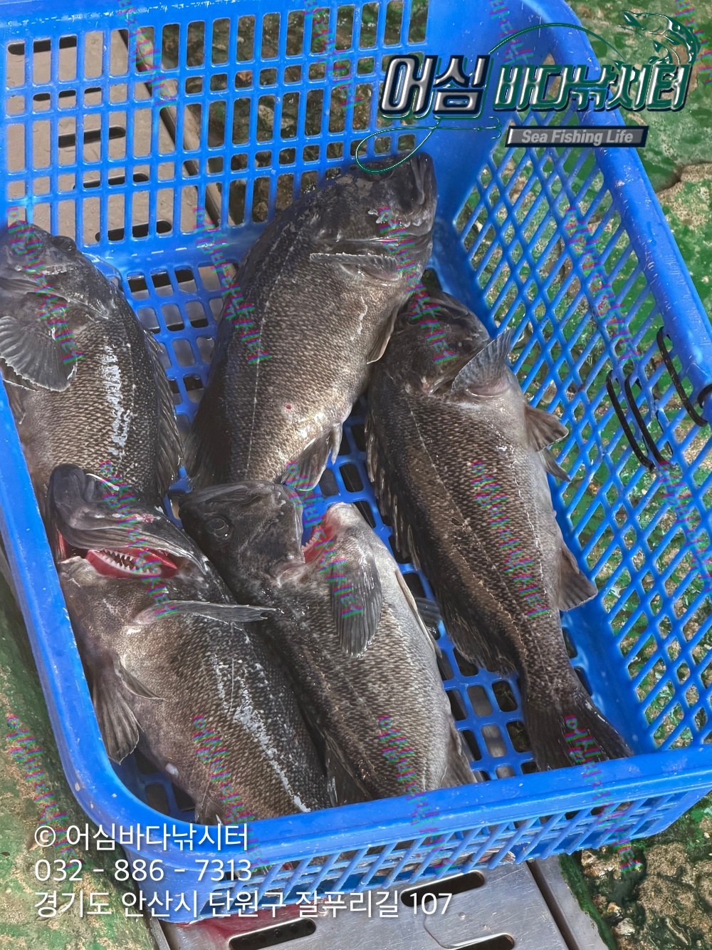 KakaoTalk_Photo_2026-03-20-20-27-10 001.jpeg