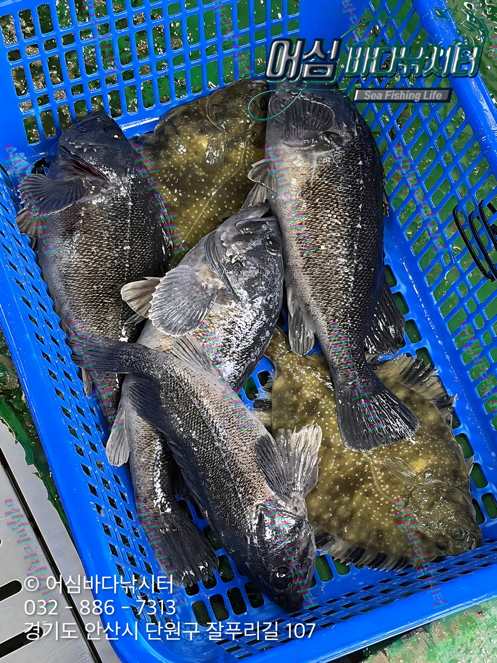 KakaoTalk_Photo_2026-03-20-20-25-50 001.jpeg