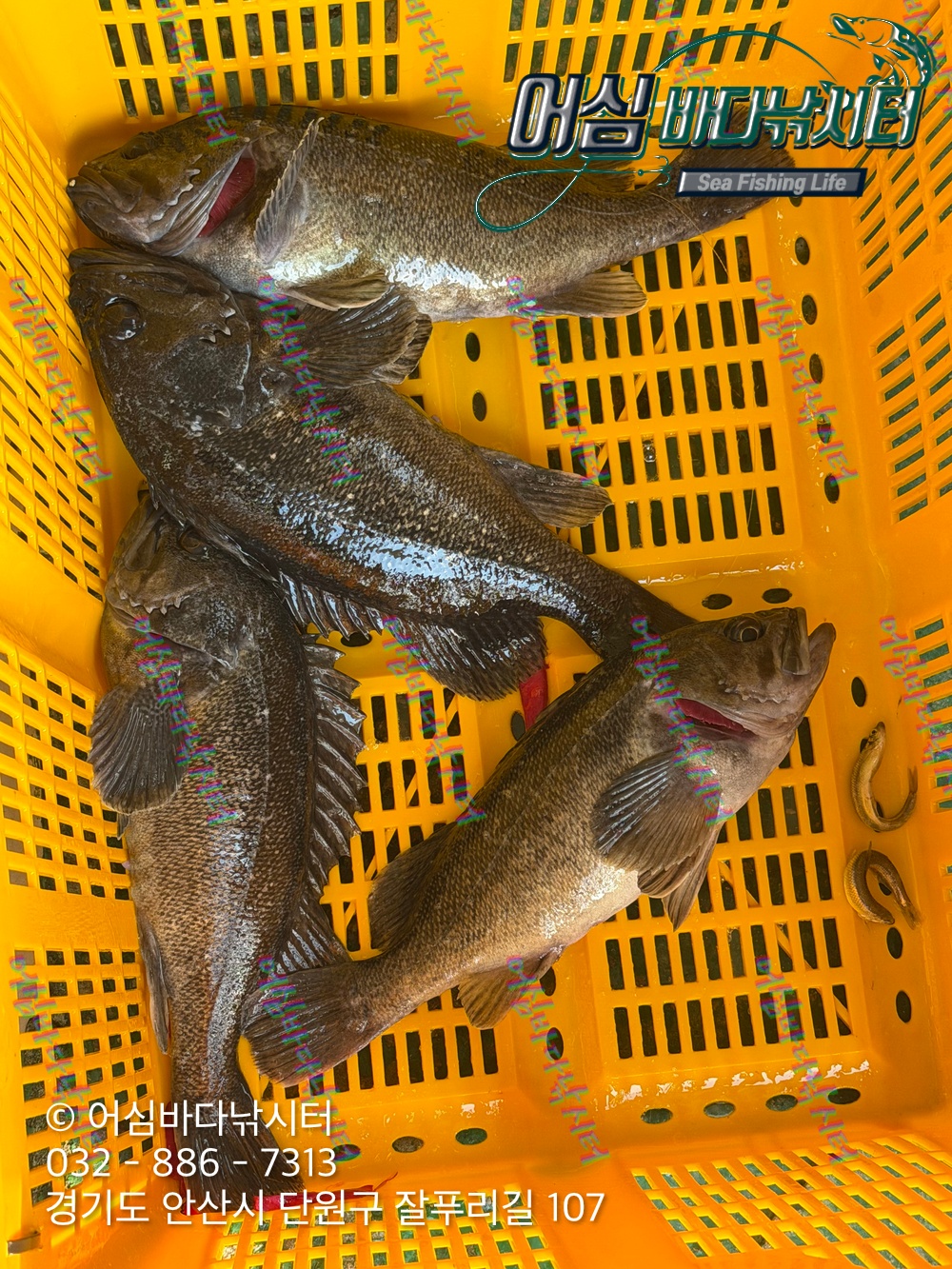 KakaoTalk_Photo_2026-03-20-20-27-11 002.jpeg