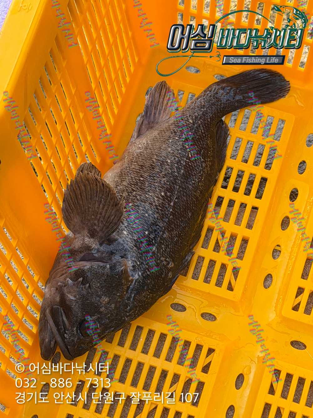 KakaoTalk_Photo_2026-03-20-20-26-56 001.jpeg