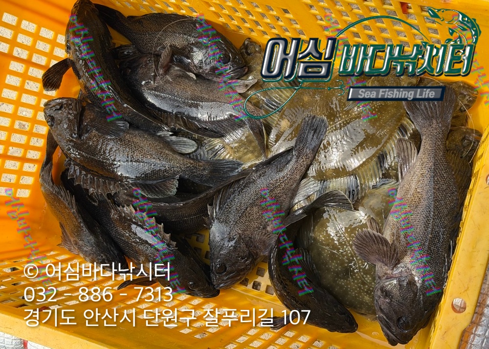 KakaoTalk_Photo_2026-03-20-20-25-50 002.jpeg