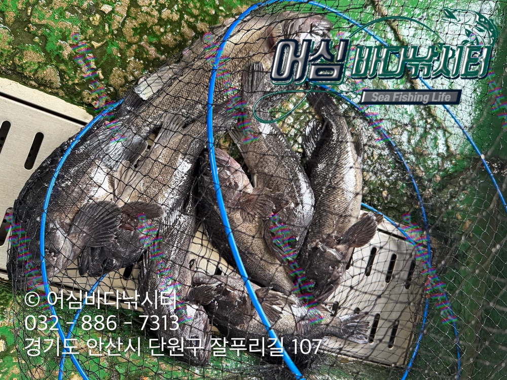 KakaoTalk_Photo_2026-03-23-19-51-53 001.jpeg