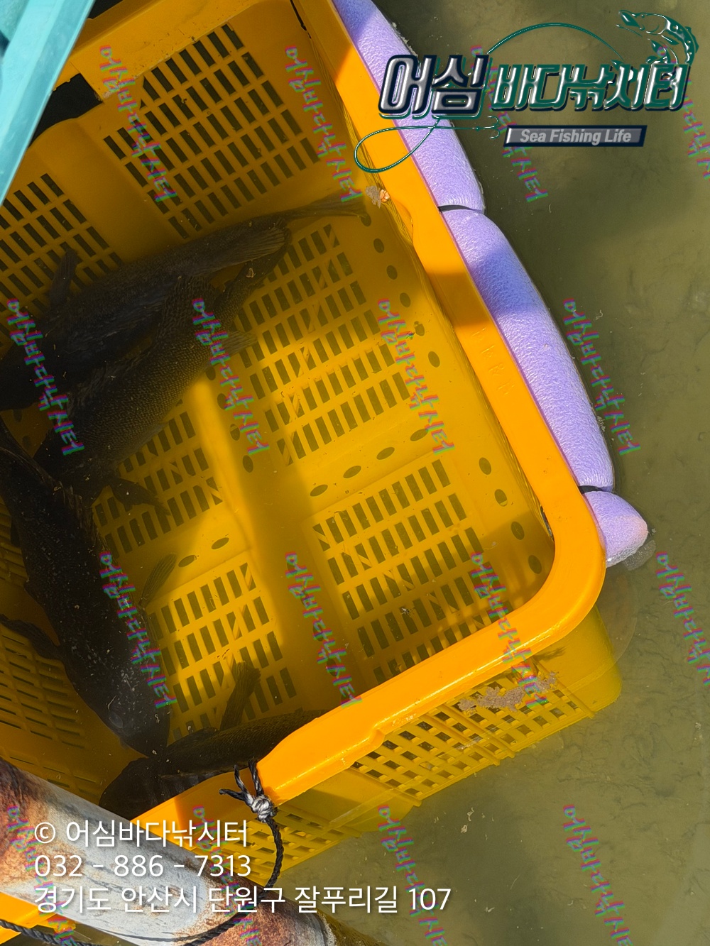 KakaoTalk_Photo_2026-03-23-19-52-11 003.jpeg