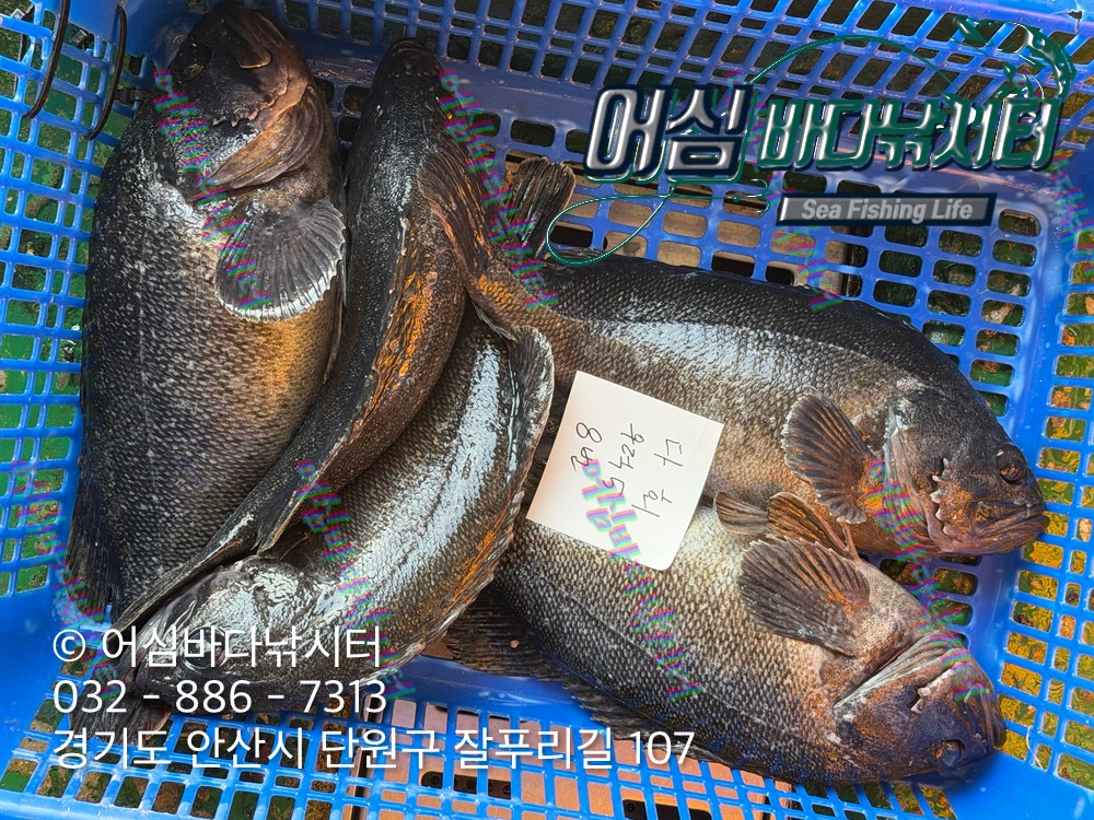 KakaoTalk_Photo_2026-03-23-19-53-40 003.jpeg