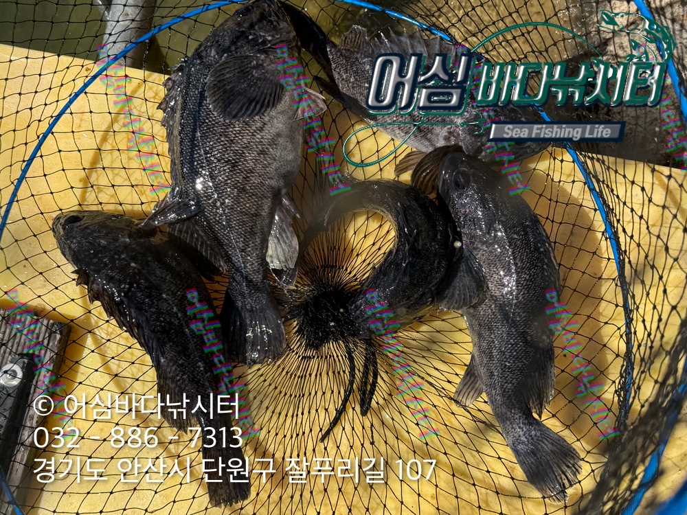 KakaoTalk_Photo_2026-03-23-19-52-10 002.jpeg