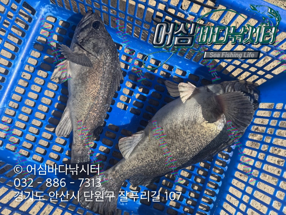 KakaoTalk_Photo_2026-03-23-19-52-26 001.jpeg