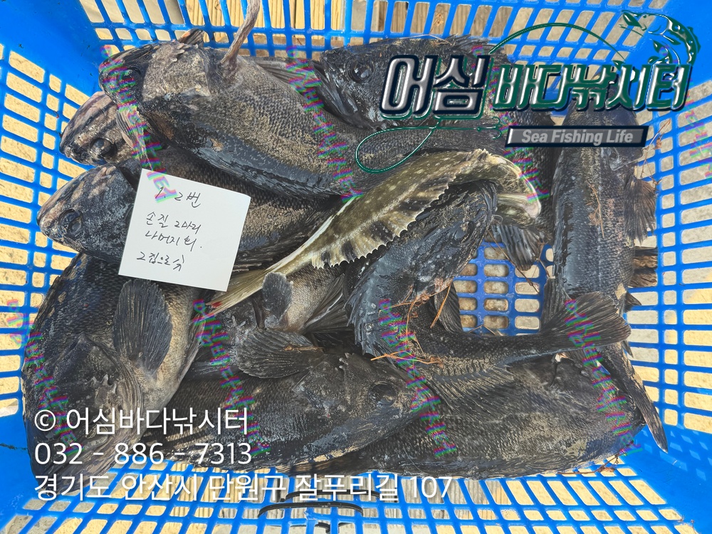 KakaoTalk_Photo_2026-03-23-19-53-12 002.jpeg