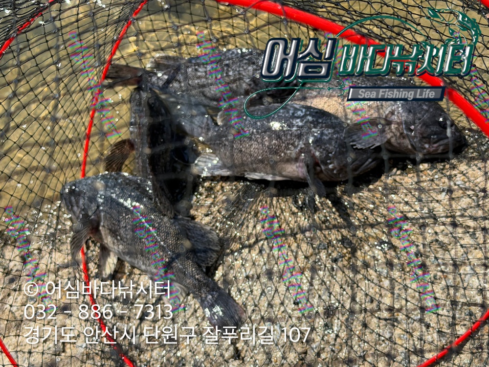 KakaoTalk_Photo_2026-03-23-19-52-10 001.jpeg