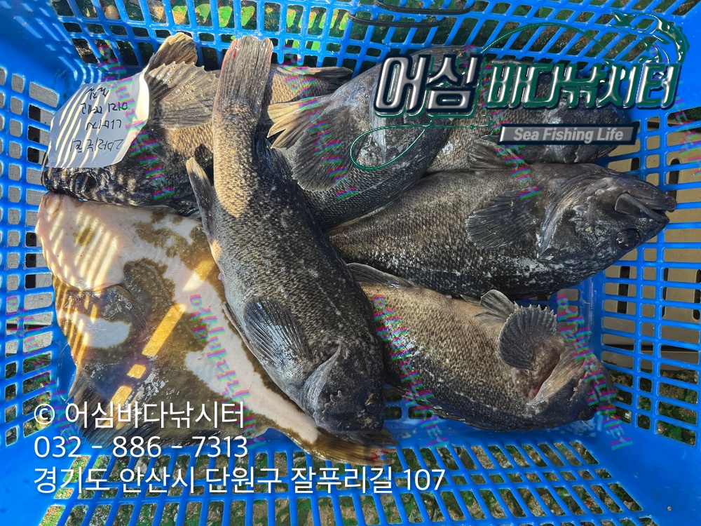 KakaoTalk_Photo_2026-03-23-19-53-16 003.jpeg