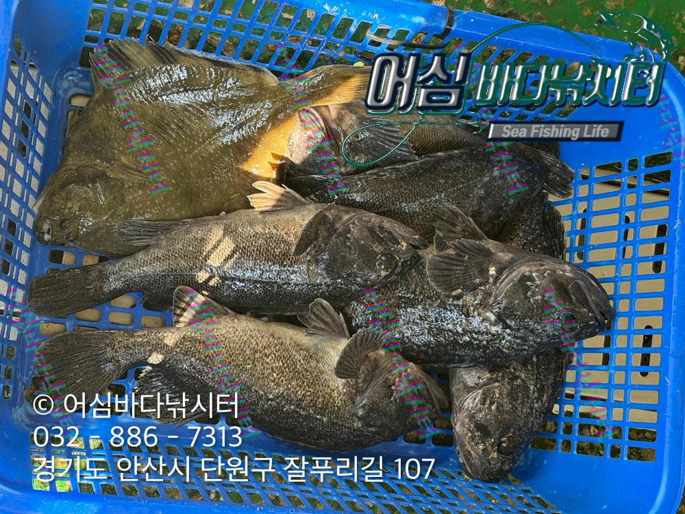 KakaoTalk_Photo_2026-03-23-19-53-19 004.jpeg