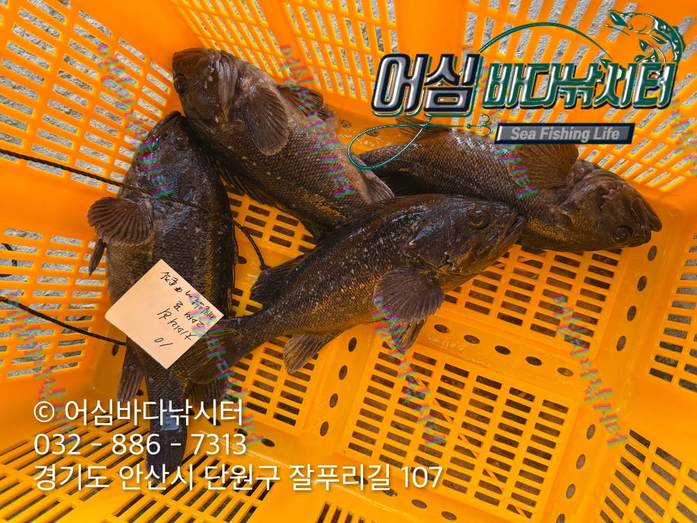 KakaoTalk_Photo_2026-03-23-19-53-40 002.jpeg