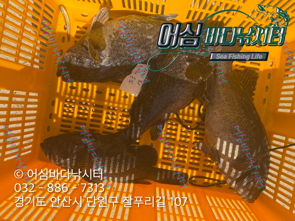 KakaoTalk_Photo_2026-03-23-19-52-28 002.jpeg