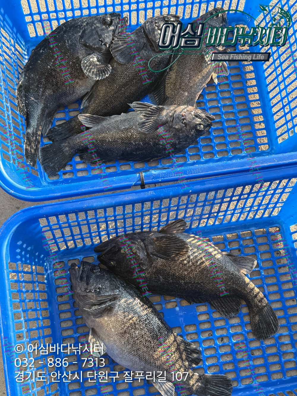 KakaoTalk_Photo_2026-03-30-20-28-15 003.jpeg