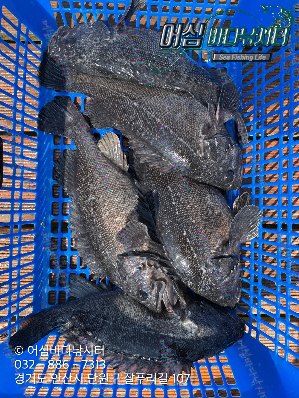 KakaoTalk_Photo_2026-03-30-20-28-02 002.jpeg