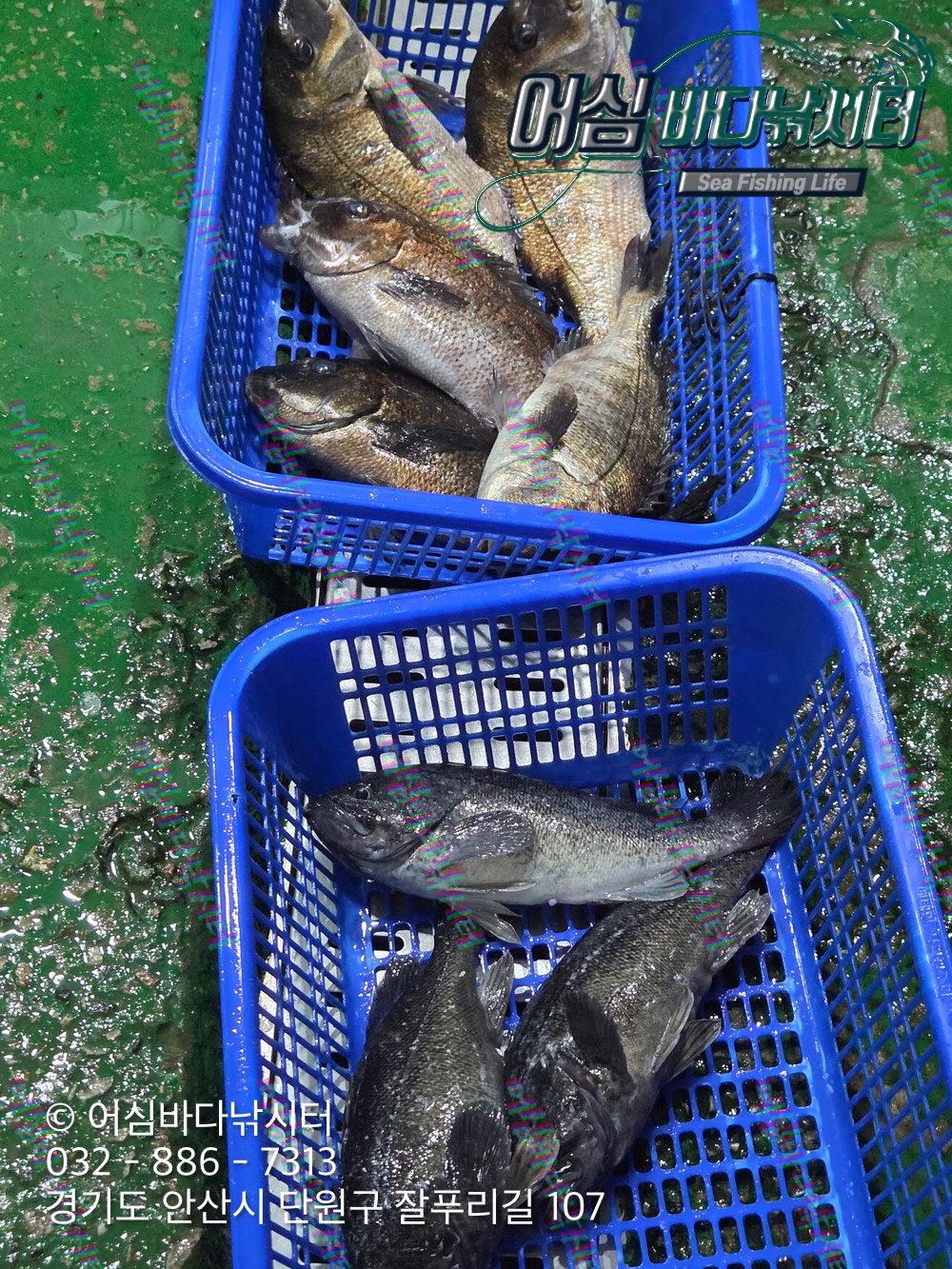 KakaoTalk_Photo_2026-03-30-20-28-50 005.jpeg