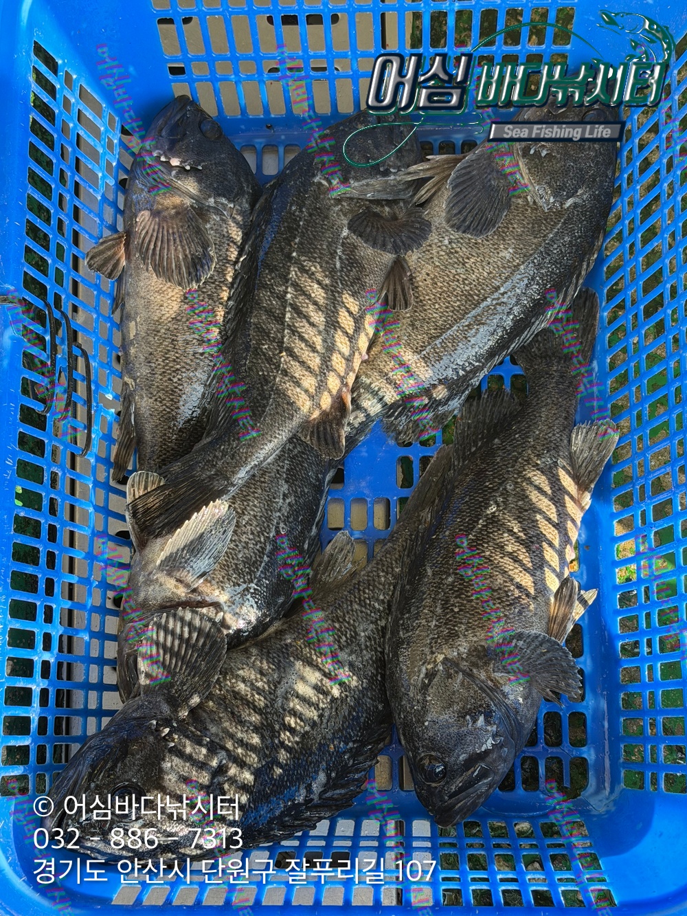 KakaoTalk_Photo_2026-03-30-20-28-24 001.jpeg