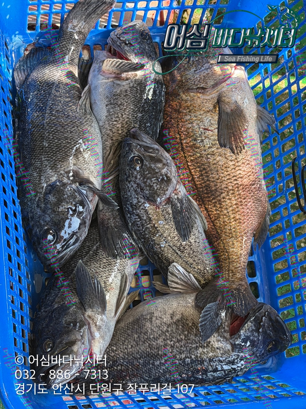 KakaoTalk_Photo_2026-03-30-20-28-01 001.jpeg