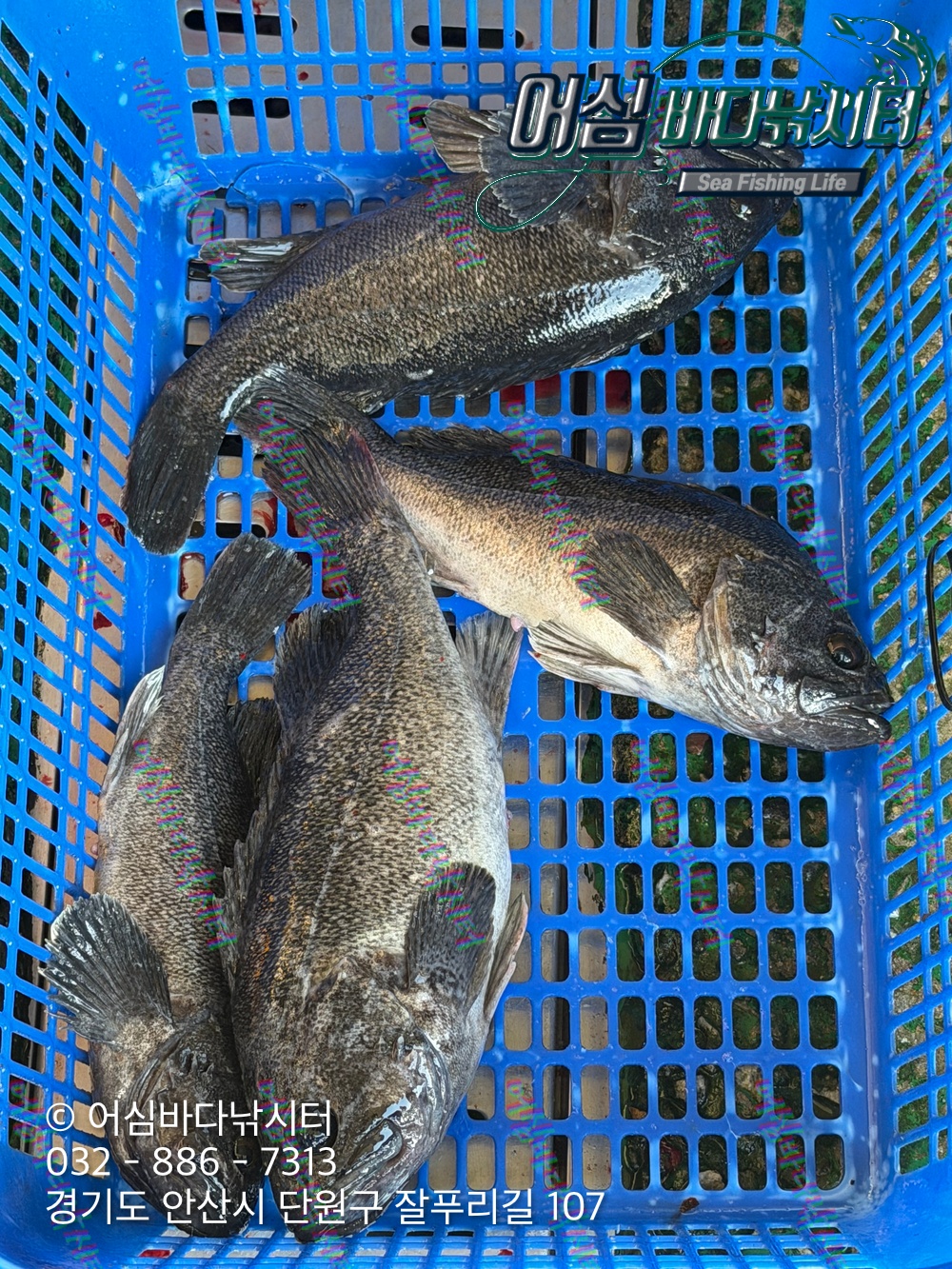 KakaoTalk_Photo_2026-03-30-20-28-14 002.jpeg