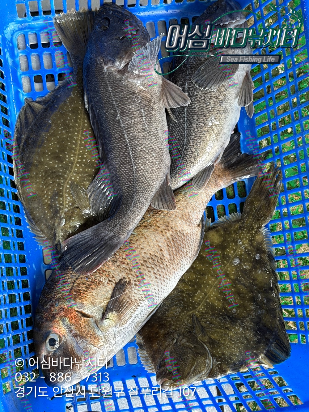 KakaoTalk_Photo_2026-03-30-20-29-34 001.jpeg