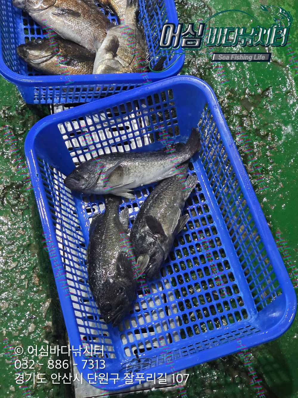 KakaoTalk_Photo_2026-03-30-20-28-48 003.jpeg