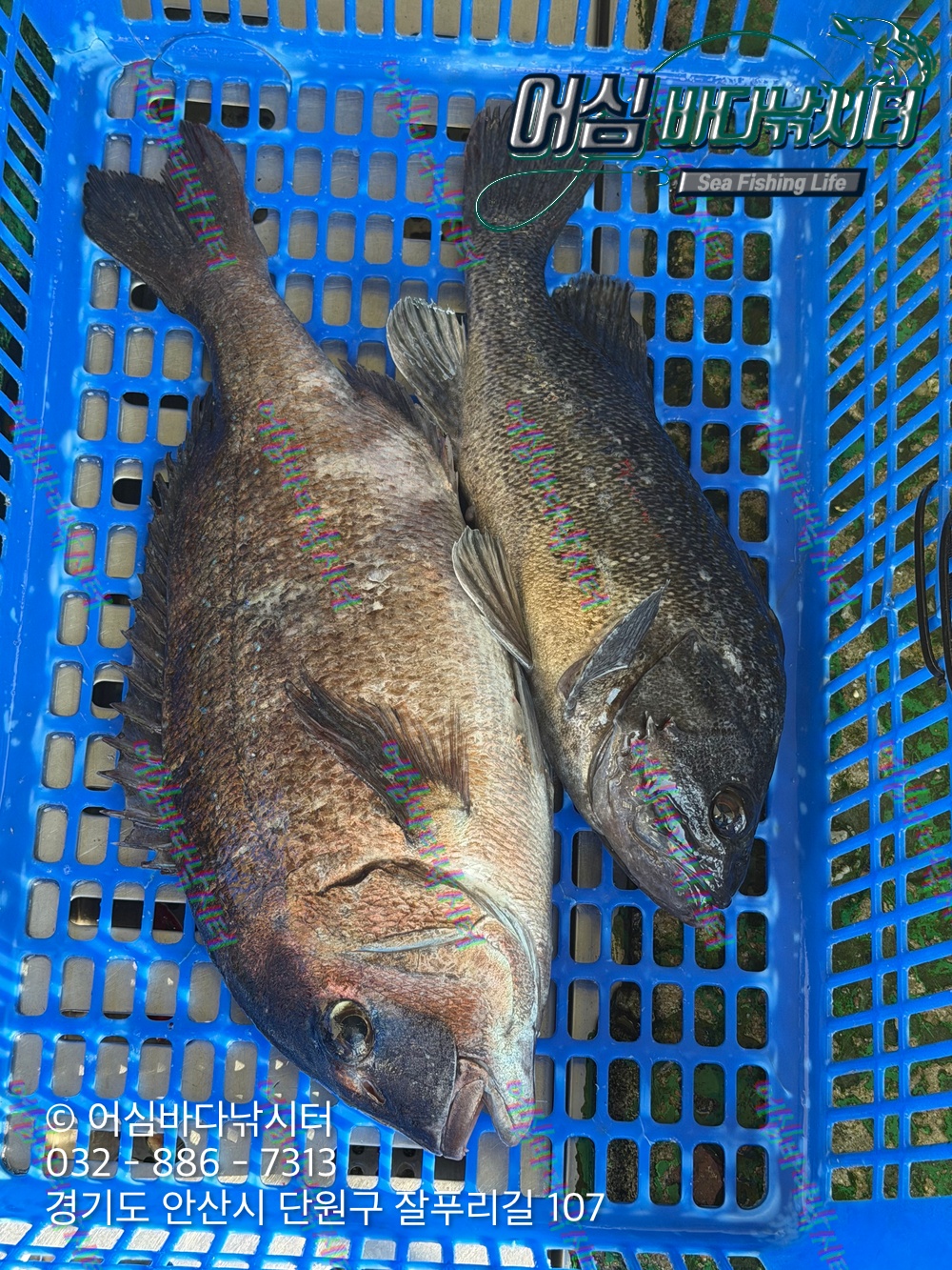 KakaoTalk_Photo_2026-03-30-20-28-25 002.jpeg