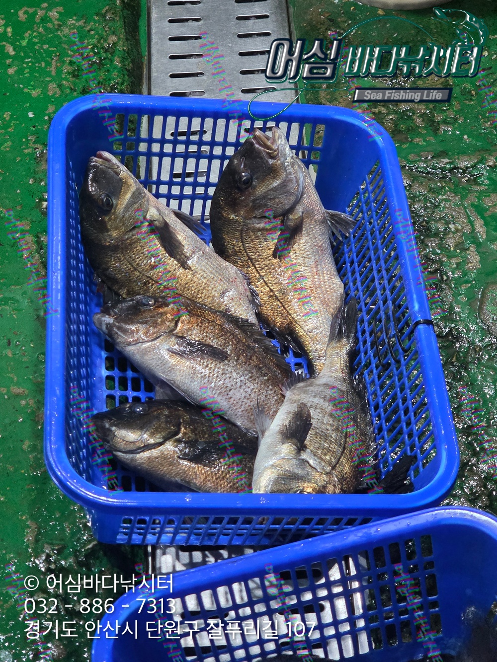 KakaoTalk_Photo_2026-03-30-20-28-49 004.jpeg