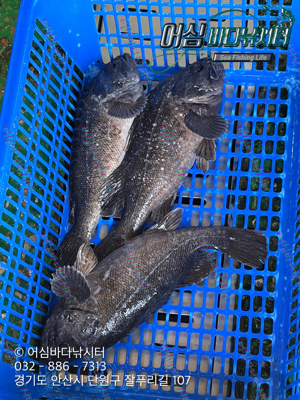 KakaoTalk_Photo_2026-03-30-20-28-13 001.jpeg