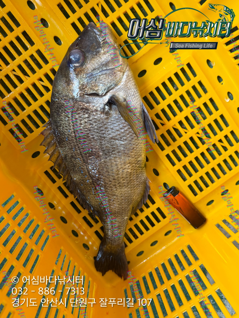 KakaoTalk_Photo_2026-03-30-20-29-35 002.jpeg