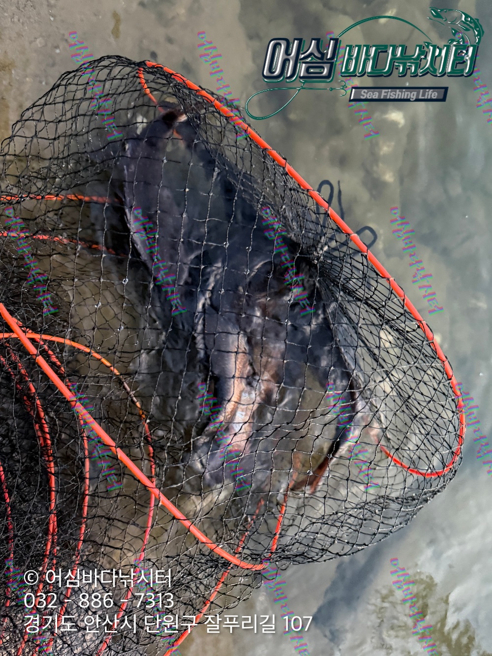 KakaoTalk_Photo_2026-03-30-20-28-47 001.jpeg