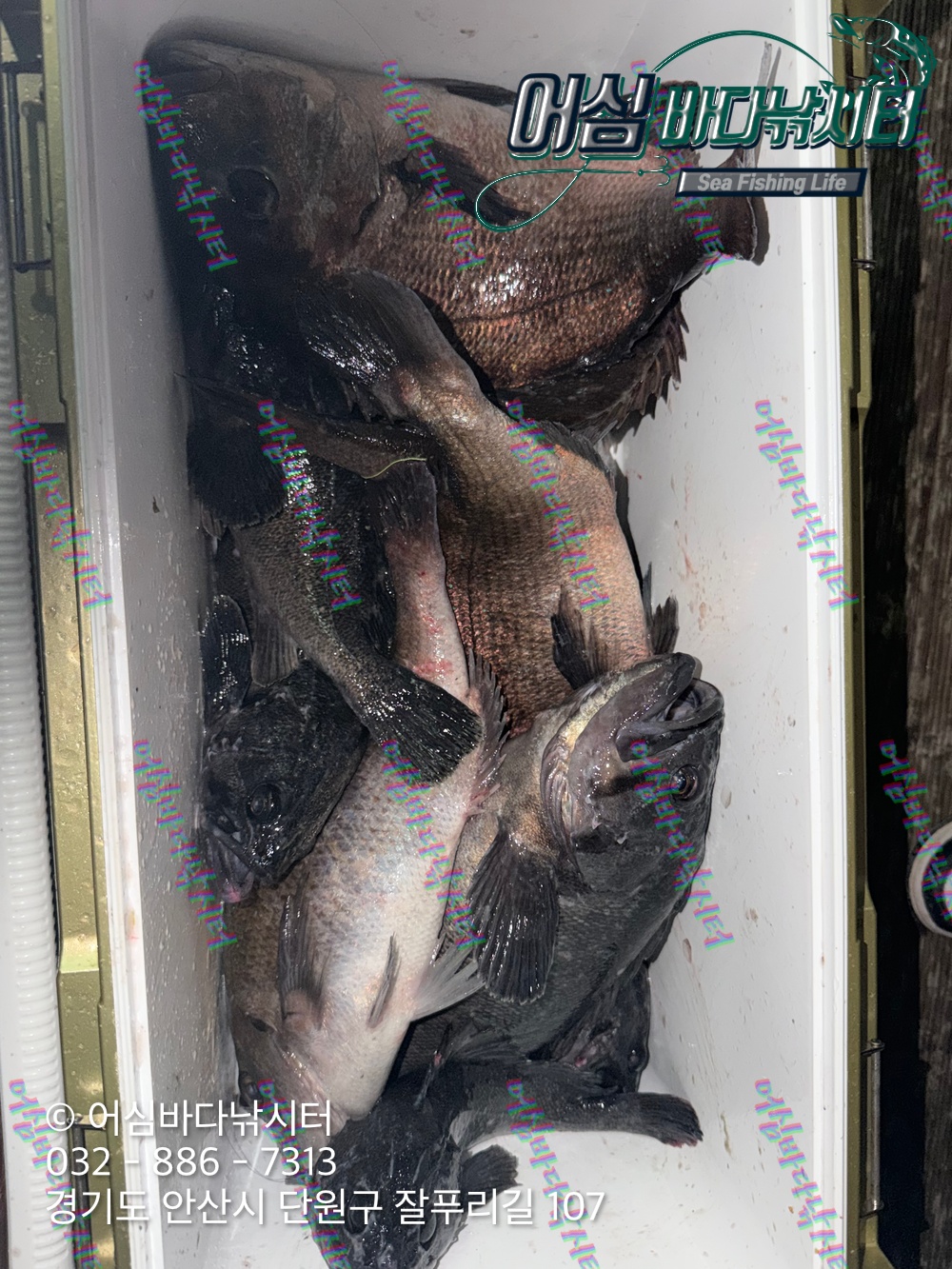 KakaoTalk_Photo_2026-03-30-20-29-44 003.jpeg