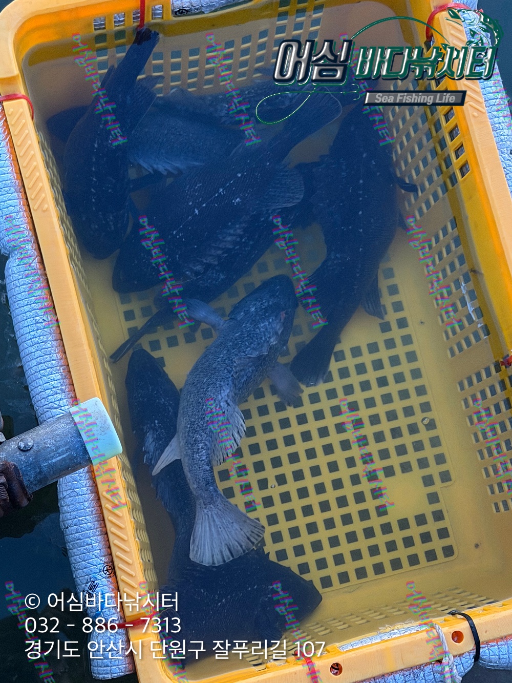 KakaoTalk_Photo_2026-03-30-20-28-48 002.jpeg