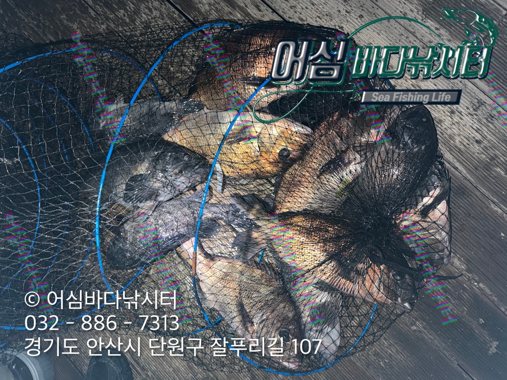 KakaoTalk_Photo_2026-03-30-20-29-44 002.jpeg