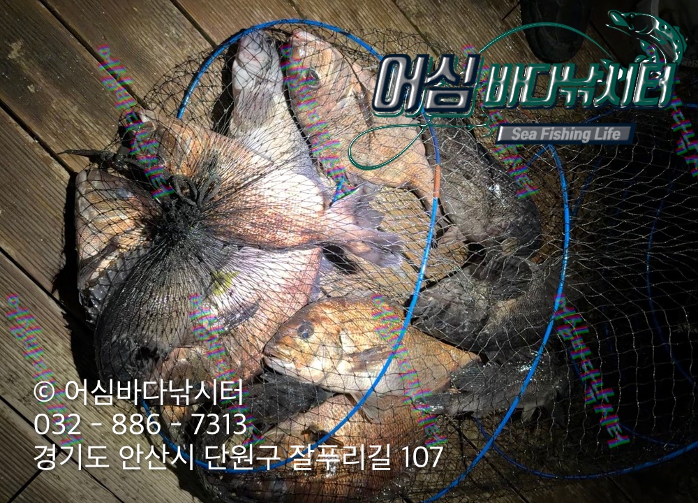 KakaoTalk_Photo_2026-03-30-20-29-43 001.jpeg