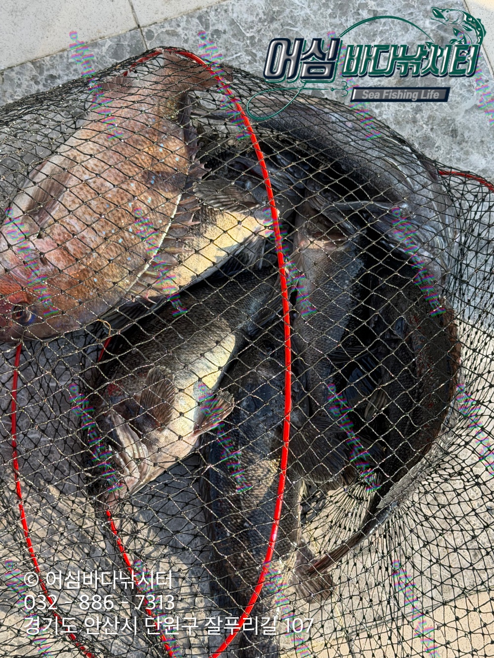 KakaoTalk_Photo_2026-04-03-19-14-19 002.jpeg