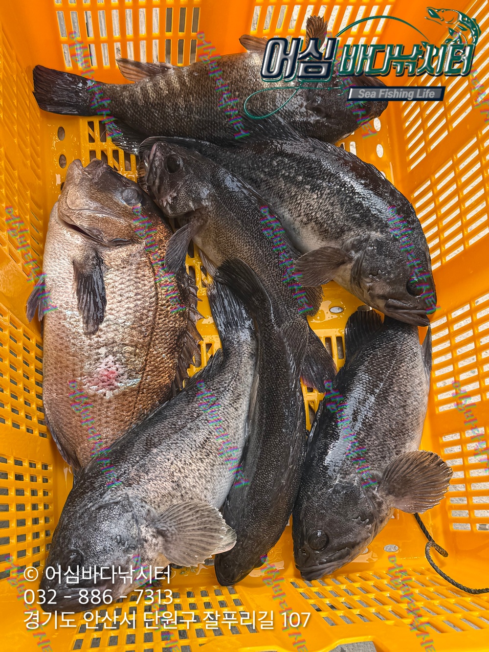 KakaoTalk_Photo_2026-04-03-19-22-10 001.jpeg