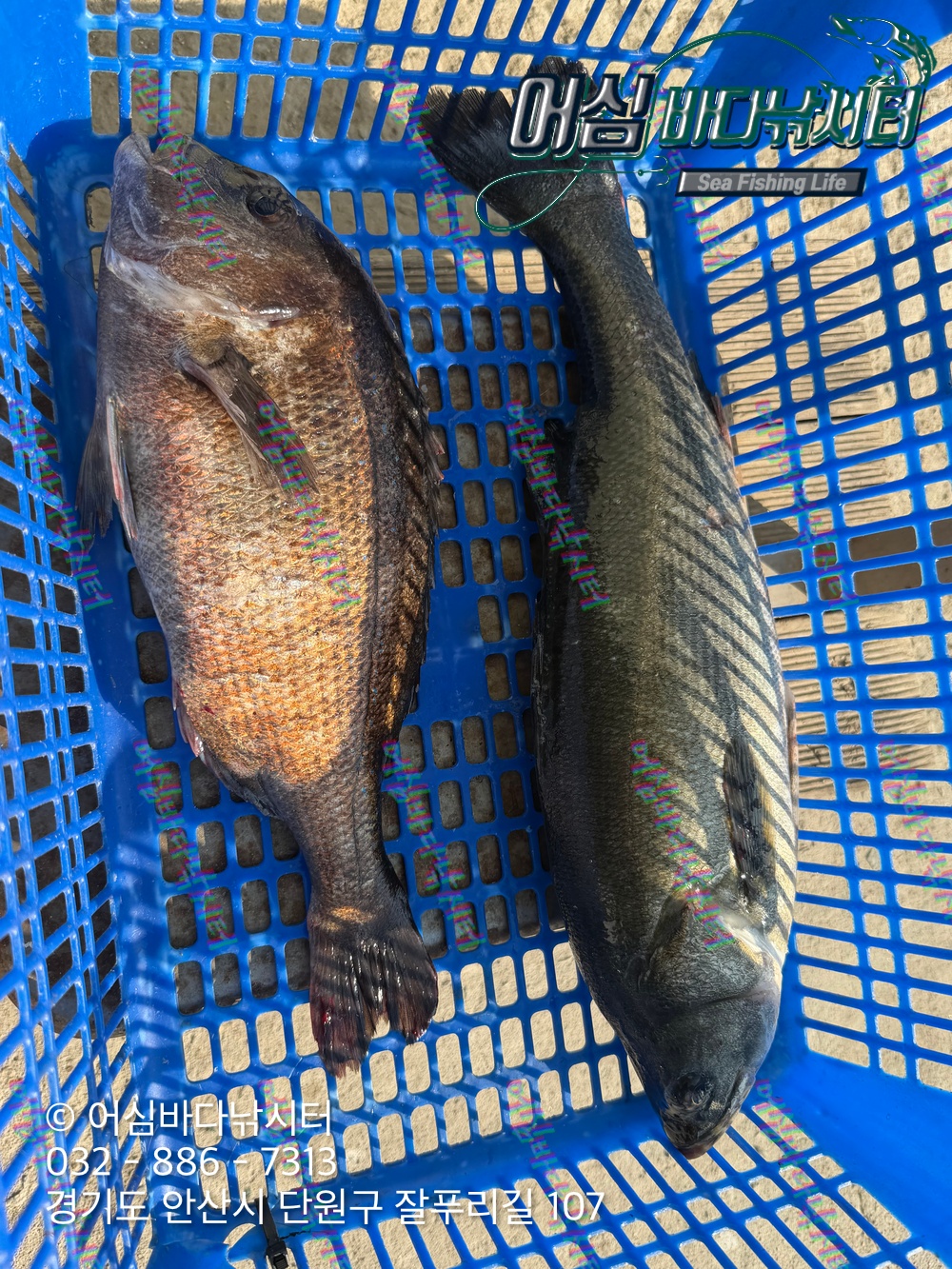 KakaoTalk_Photo_2026-04-03-19-14-17 001.jpeg