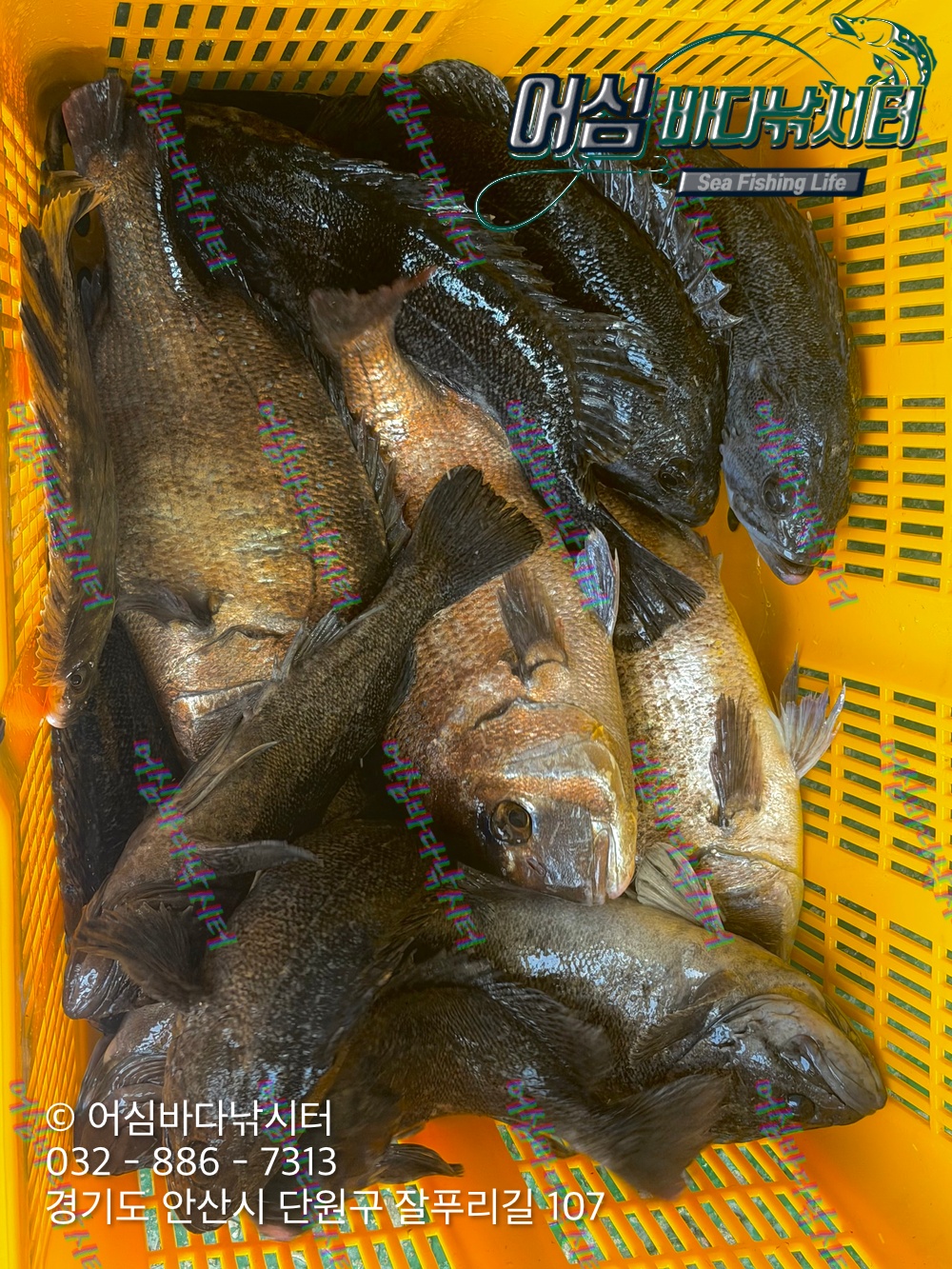 KakaoTalk_Photo_2026-04-03-19-14-54 001.jpeg