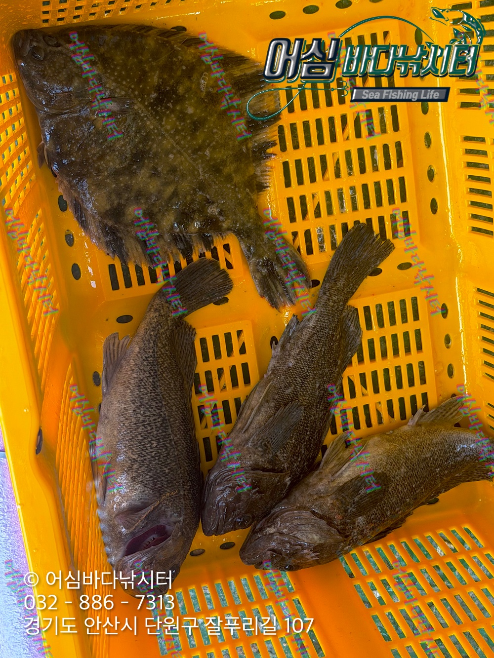 KakaoTalk_Photo_2026-04-03-19-14-55 002.jpeg