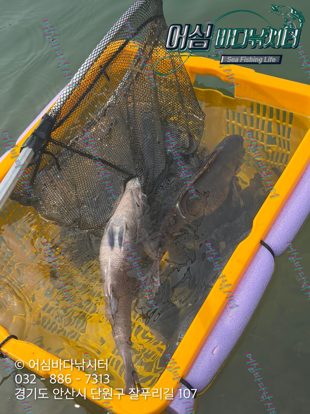 KakaoTalk_Photo_2026-04-03-19-14-04 002.jpeg