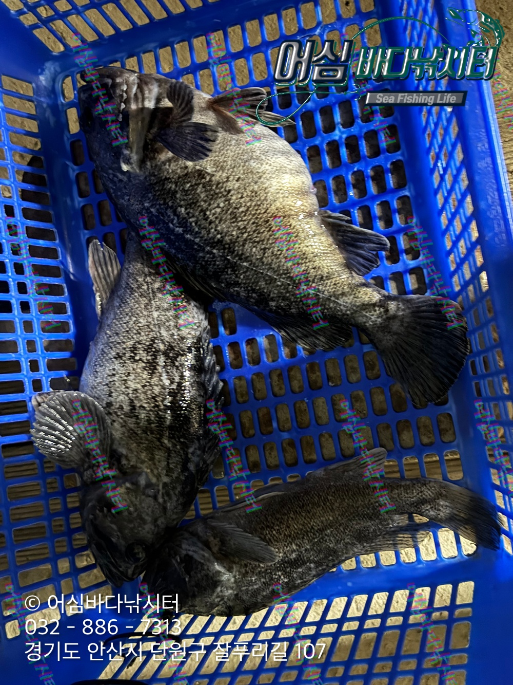 KakaoTalk_Photo_2026-04-03-19-14-19 003.jpeg