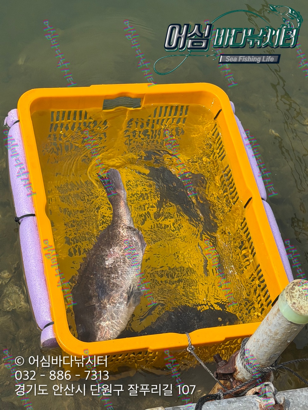 KakaoTalk_Photo_2026-04-03-19-14-37 004.jpeg