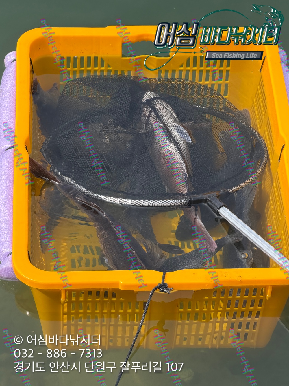 KakaoTalk_Photo_2026-04-03-19-14-03 001.jpeg